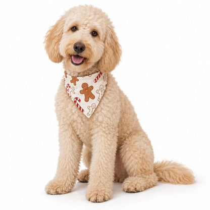 Chien portant le bandana pain d'épice assorti au pyjama de Noël famille