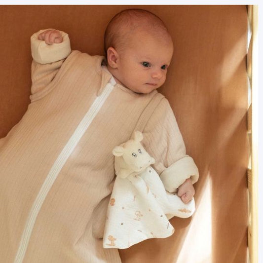 Gigoteuse en jersey douce avec manches amovibles – idéale pour nuits sécurisées